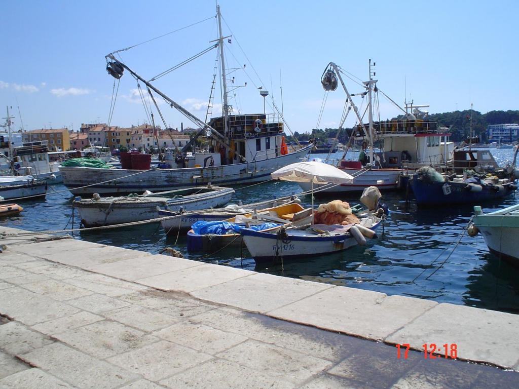 Apartments Villa Martinuzzi Rovinj Exterior photo